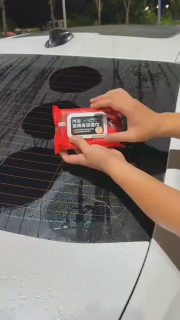Glass Cleaning Wipes 40pc